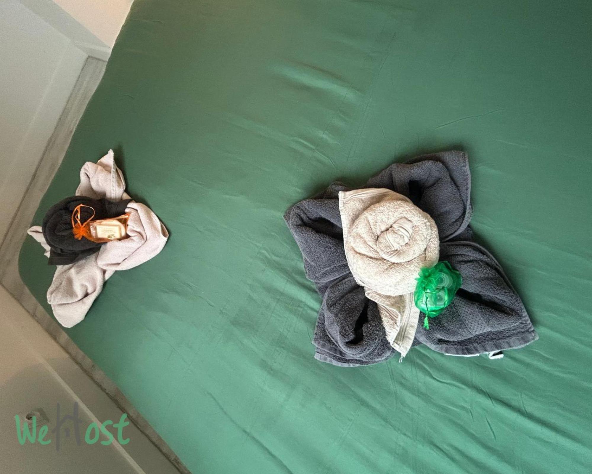 Jasmine-close To Station,grd Palais,zénith&center Appartement *